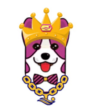 How to buy The Corgi of PolkaBridge crypto (CORGIB)