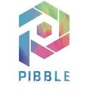 How to buy Pibble crypto (PIB)