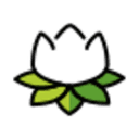 How to buy White Lotus crypto (LOTUS)