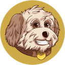 How to buy Cavachon crypto (CAVA)