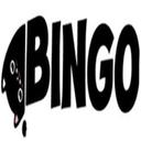 How to buy Bingo crypto (CATBINGOLO)