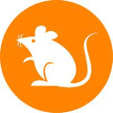 How to buy 1000RATS crypto (1000RATS)