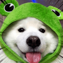 How to buy Shiro the FrogDog crypto (FROGDOG)