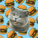 How to buy Cheezburger Cat crypto (CHEEZ)