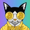 How to buy Bitcat crypto (BITCAT)