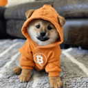 How to buy Bridged DOG•GO•TO•THE•MOON (Merlin Chain) crypto (DOG•GO•TO•THE•MOON)