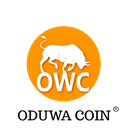 How to buy Oduwa Coin crypto (OWC)