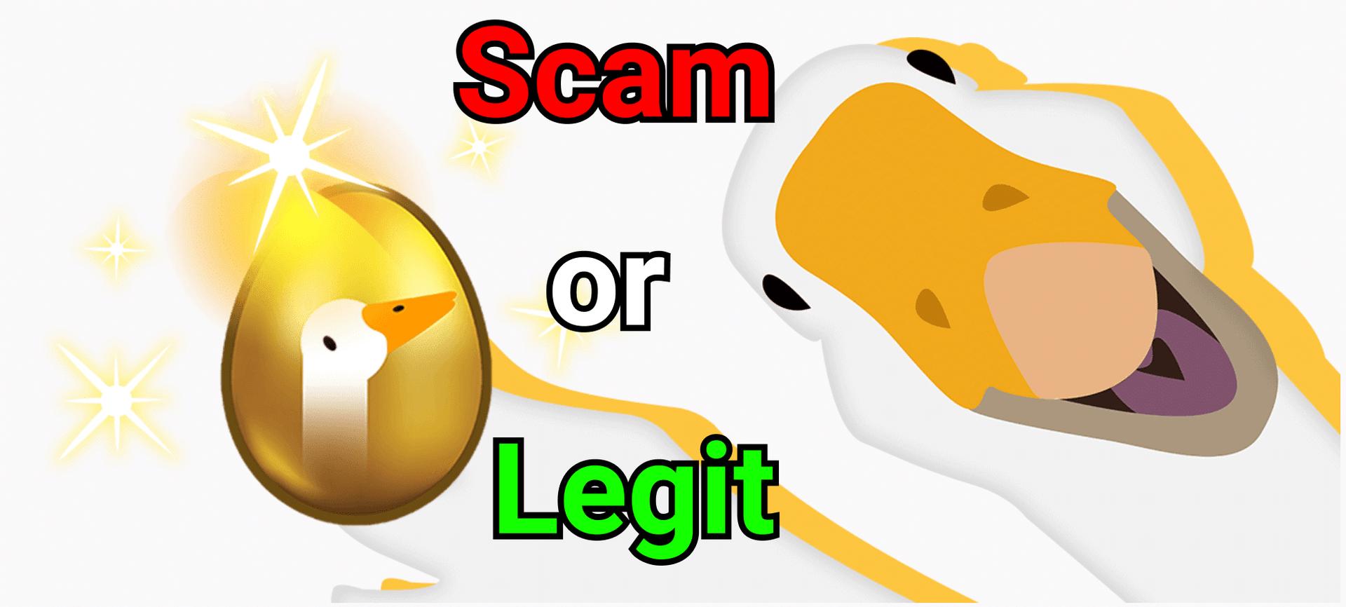 is goose finance a scam