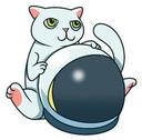 How to buy Mooncat CAT crypto (CAT)