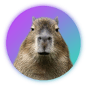How to buy Capybara crypto (CAPY)