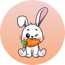 How to buy Rabbit Inu crypto (RBIT)