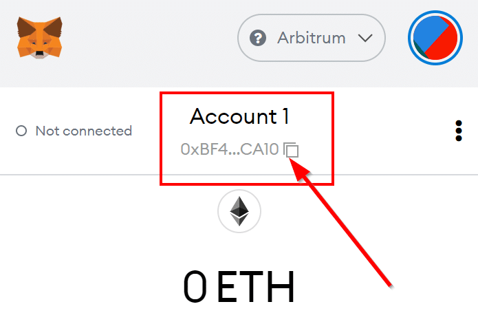 Copy your Metamask Address